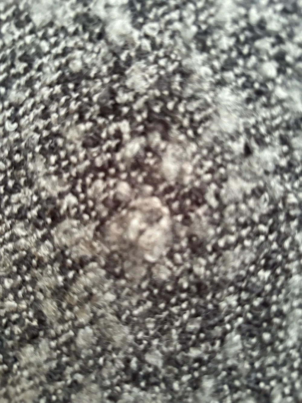 RW & Co. Cozy Grey & Black Knit Fringe Scarf - Picture 3 of 3